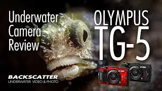 Olympus TG-5 - Underwater Camera Review