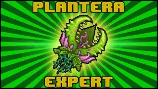 Como Matar a Plantera Facilmente (Expert)