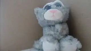 мульт: кот танцует