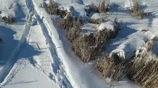 Dogs Running in Deep Snow on the Lake