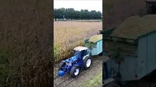 Chopping Corn #ford #corn #newholland #harvest #farming #shorts #subscribe #tractor #maize #drone