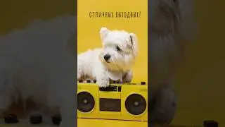 Успешной пятницы! хороших выходных!😊 