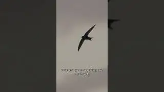 Did you know these 