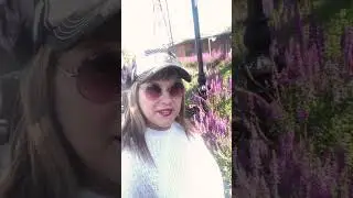 Выходные