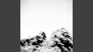 Butterfly soars