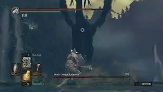 Black Dragon Kalameet fight