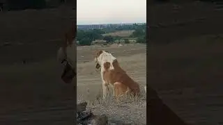 Малыш 3 года