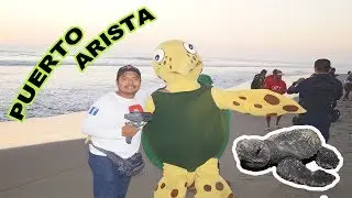 LIBERACION DE TORTUGA EN PUERTO ARISTA 2019
