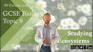 Studying Ecosystems - Core Practicals - GCSE Biology (9-1) 9.5 - 9.6