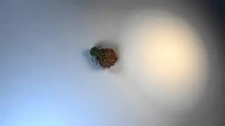 tick_animation_thumbnail