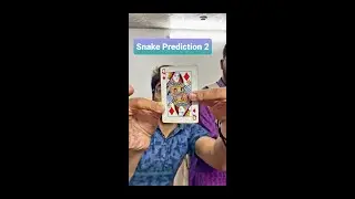 Snake Prediction 2