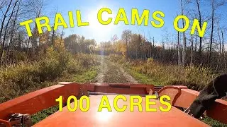 First Video! Trail Cams on 100 Acres
