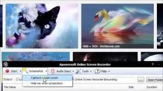 Snagit Alternative