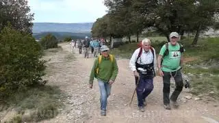 Caminada de la Colla dels Bufets d'Olot per Tavertet.