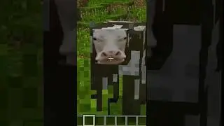 Minecraft BUT ..?!! #minecraft #gaming #shorts