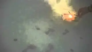 Put Put Boat