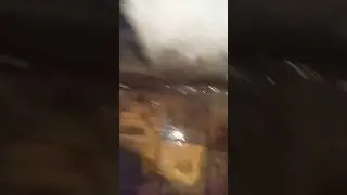 #begini