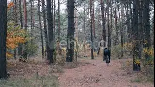 Young male professional cyclist hard training on cyclocross bike in autumn forest. | Stock Foota...