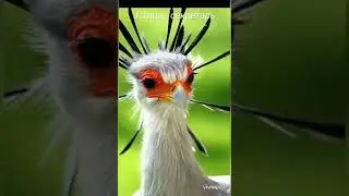 С ДОБРЫМ УТРОМ   ВАС ВСЕХ РОССИЯНЕ  И ХОРОШЕГО ВАМ НАСТРОЕНИЯ  !!!