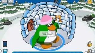 I'm aunt arctic on club penguin