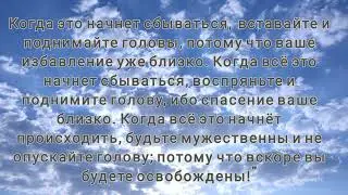 Белая полоса