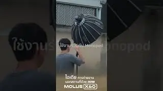 ถ่ายคลิป outdoor แบบนี้ แค่มี Zhiyun Molus X60 กับ Monopod ก็คือจบ!