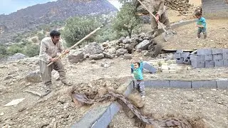 Pact with grandfather: the mission of rescuing Yaran and building a new house