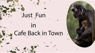 Just Fun   Cafe Back in Town zondag  9 september  2018