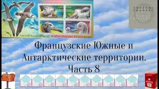 Французская Антарктика. Часть 8. За 10 минут-куча интересных фактов!