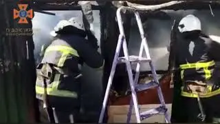 Врятували на пожежі кота