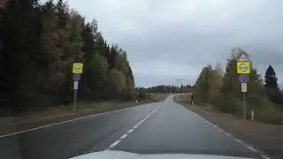 Б.Уса-Елово (листочки), октябрь 2022