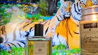 Tyger Tyger Francesca Bianchi