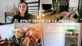 VLOG⎟Il était temps! Tri du congèl, passage chez Picard et retour de courses
