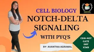 NOTCH-DELTA SIGNALING PATHWAY || CELL SIGNALING || CSIR NET || GATE || DBT