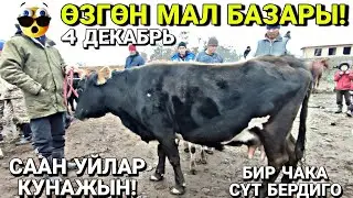 СААН УЙЛАР| КУНАЖЫН УРГААЧЫ ТОРПОК БААЛАРЫ 🤯