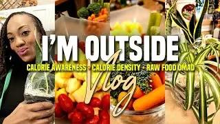Raw Food OMAD + Calorie Awareness! Come Hang Out