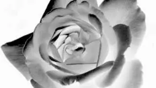 Stella Blackrose - MORPHINE from the album 