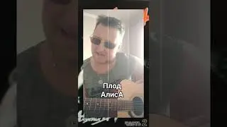 #Плод#АлисА#cover#💥🎤🎸🎶🎧💫🤘💥