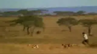 FASTEST MAN in the WORLD, funny cheetah video !