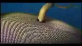 How to Pwn a YEC Irreducible Complexity Part 1