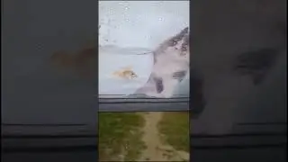 Вот и осень пришла! Встречайте! Дождь! ☔💦💦🌂
