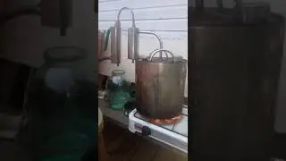 Самогон кальвадос