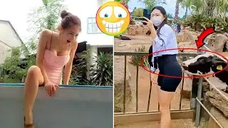AWW NEW FUNNY 😂 The Funniest People Doing Crazy Things 