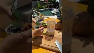 Virgin Pina Colada Summer Drink Recipe