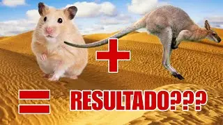 La INCREIBLE "RATA CANGURO del DESIERTO" -Un MAMÍFERO DESCONOCIDO para la mayoría... PERO EXISTE!!