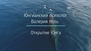 Открытия Юнга