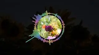 After Effects Audio Spectrum | Audio Visualizer After Effects