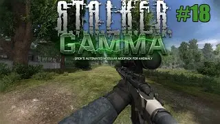 PATIENCE - S.T.A.L.K.E.R GAMMA
