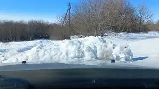 Родина моя