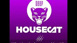 Deep House Cat Show - What has he been smoking Mix - feat. DJ Danial